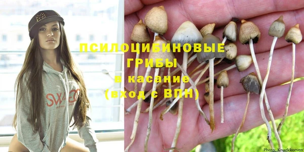 соль ск Вязники