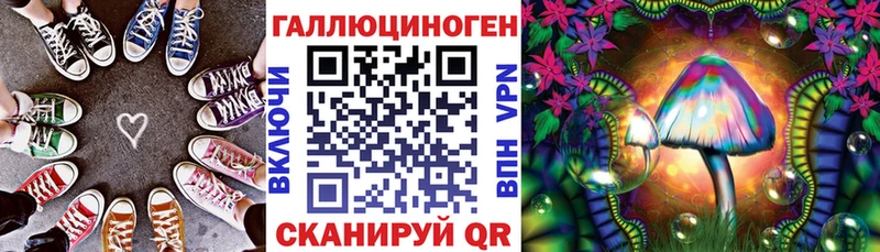 mega вход  Плавск  Псилоцибиновые грибы Psilocybe  где можно купить  